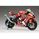 1/12 バイクシリーズ SPOT エヴァ RT 弐号機 トリックスター FRTR Kawasaki ZX-10R 2011 プラモデル