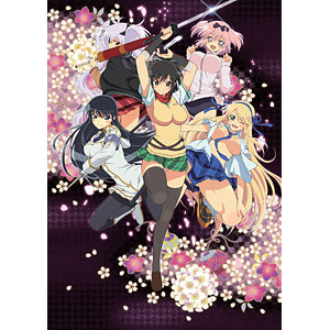 BD 閃乱カグラ 第壱巻 Blu-ray
