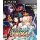 PS3 【予約特典付き】英雄＊戦姫 限定版