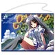夏空のペルセウス タペストリーB：遠野恋