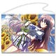 夏空のペルセウス タペストリーD：沢渡透香