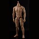 ACIトイズ 1/6 マスキュラー男性素体 ブルース コーカシアン 単品