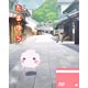 DVD OVA たまゆら もあぐれっしぶ