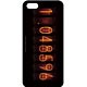 STEINS；GATE(シュタインズゲート) iPhoneカバー ダイバージェンスメーター(iPhone5/5s用)