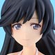 BEACH QUEENS ガールズ＆パンツァー 五十鈴華 1/10 完成品フィギュア