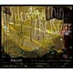 CD OLDCODEX(オルドコデックス) /A Silent，within The Roar 初回限定盤 DVD付