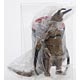 ウルトラ怪獣500 60 グドン