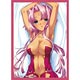 NEXTONガールズスリーブコレクション Vol.006 恋姫†夢想「孫権・蓮華」 パック