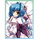 NEXTONガールズスリーブコレクション Vol.012 恋姫†夢想「趙雲・星」 パック