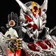 S.I.C. 仮面ライダーウィザード フレイムドラゴン＆オールドラゴン 『仮面ライダーウィザード』