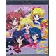 BD アニメ「美少女戦士セーラームーンCrystal」 9  Blu-ray 通常版
