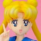 世界制服作戦 美少女戦士セーラームーン 月野うさぎ 1/10 完成品フィギュア