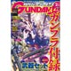 月刊ガンダムエース 2015年02月号 付録：RGウイングガンダムゼロ（EW）用ウェポンパーツ（雑誌）