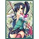 NEXTONガールズスリーブコレクション Vol.023 真・恋姫†英雄譚「関羽・愛紗」 パック