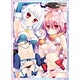 NEXTONガールズスリーブコレクション Vol.024 戦国†恋姫「美空＆光璃」 パック