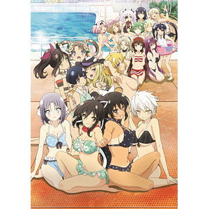 閃乱カグラ ESTIVAL VERSUS 水着だらけの前夜祭 あみあみ Blu-ray 購入