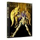DVD 聖闘士星矢 黄金魂 -soul of gold- 2 特装限定版