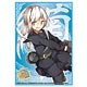 ブシロードスリーブコレクション HG Vol.902 艦隊これくしょん -艦これ-『菊月』 パック