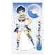Tokyo 7th シスターズ【アクリルキャラスタンド(L)】神城スイ