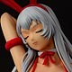 一騎当千 Extravaganza Epoch 趙雲子龍・BunnyスペシャルTYPE R 1/6 完成品フィギュア