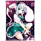 東方波天宮 B2タペストリー「魂魄妖夢」 -illust.立羽-