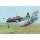 1/48 露・イリューシリンIl-10地上攻撃機・戦中型 プラモデル