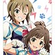 TVアニメ「アイドルマスター シンデレラガールズ」 スリムタペストリー「*(Asterisk)」