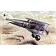 1/48 独ファルツD.XII後期型戦闘機 プラモデル