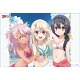ブシロード ラバーマットコレクション Vol.48 『Fate/kaleid liner プリズマ☆イリヤ ツヴァイ ヘルツ！』