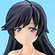 BEACH QUEENS ガールズ＆パンツァー 五十鈴華 1/10 完成品フィギュア