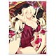 閃乱カグラ NewWave Gバースト B2タペストリー 麗王