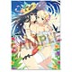 閃乱カグラ NewWave Gバースト B2タペストリー 斑鳩＆詠