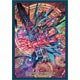 ブシロードスリーブコレクション ミニ Vol.247 ヴァンガードG『天空を舞う竜 ルアード』 パック