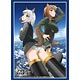 ブシロードスリーブコレクション ハイグレード Vol.1173 ブレイブウィッチーズ『エディータ・ロスマン 他』 パック