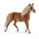 HORSE CLUB ハフリンガー馬(オス)