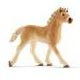 HORSE CLUB ハフリンガー馬(仔)