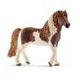 HORSE CLUB アイスランドポニー(オス)