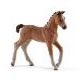 HORSE CLUB ハノーバー馬(仔)