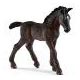 HORSE CLUB リピツァーナ馬(仔)