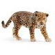 WILD LIFE ジャガー