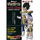 着れちゃう！ ダンボール ドラゴンボール戦闘服 大人用
