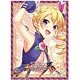 NEXTONガールズスリーブコレクション Vol.080 恋姫†夢想-革命-「曹仁・華侖」 パック