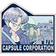 ドラゴンボールZ トラベルステッカー (5)トランクス(カプセルコーポレーション)