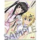 戦姫絶唱シンフォギアXD UNLIMITED A3タペストリー 白衣の診察(調＆切歌)