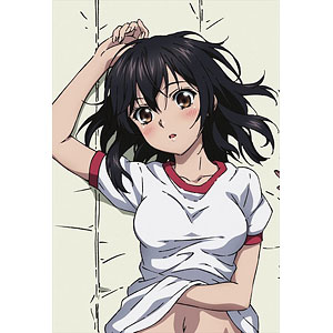 ストライク・ザ・ブラッド 描き下ろし 凪沙 枕カバー[エムズ