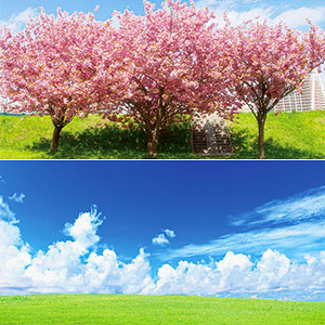 ジオラマシートEX 春セットA