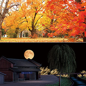 ジオラマシートEX 秋セットA