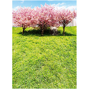 ジオラマシートPRO EX 春A1