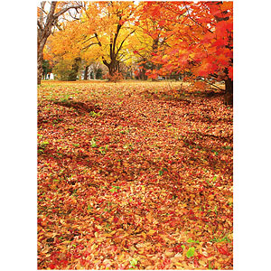 ジオラマシートPRO EX 秋A1