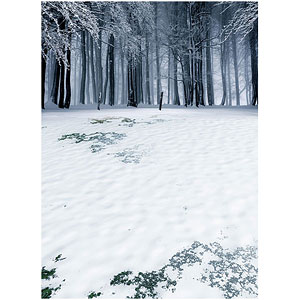 ジオラマシートPRO EX 冬A1